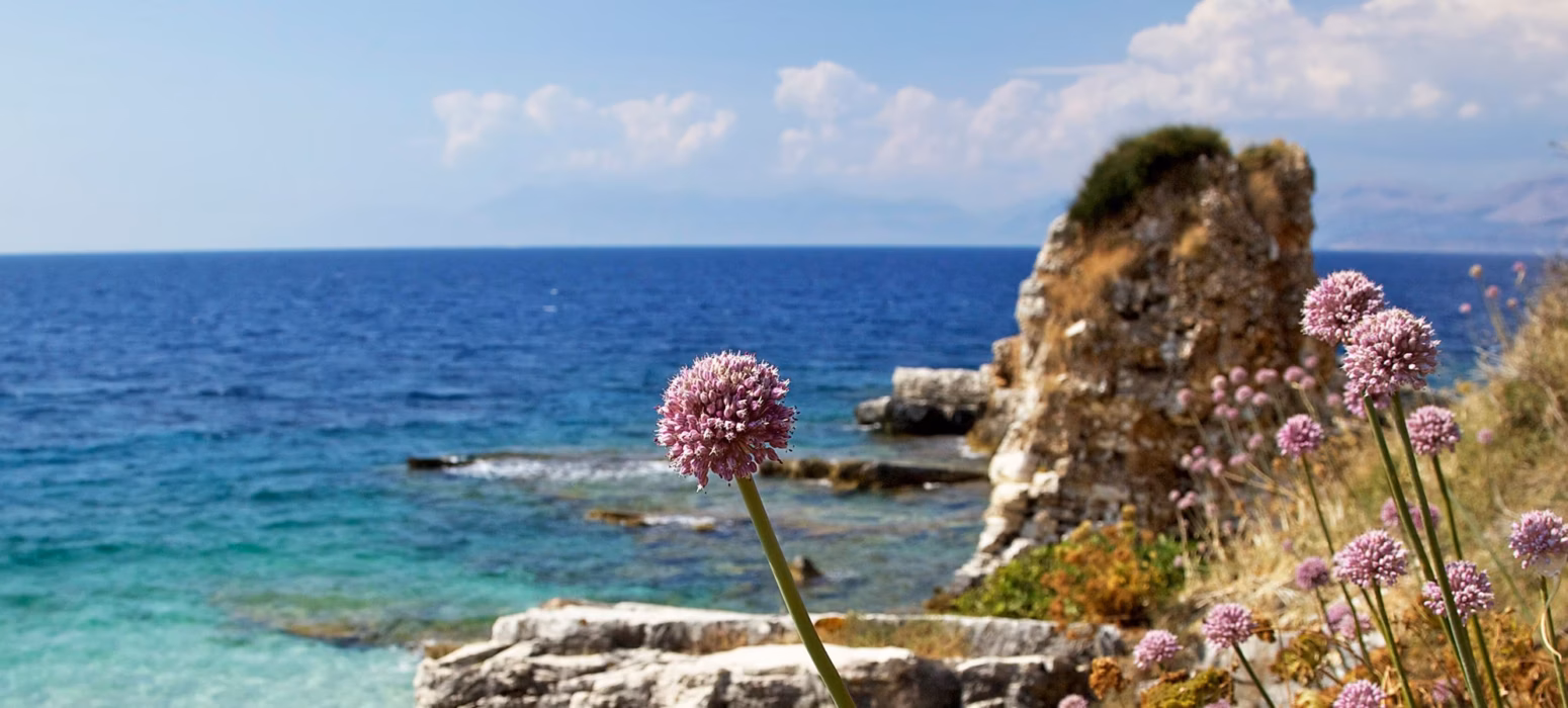 MSC_Grandiosa_Mediterraneo